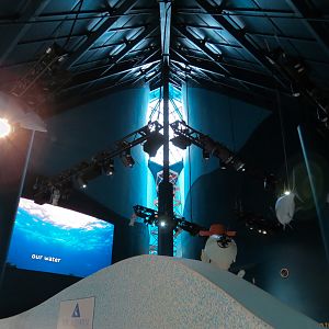 Aquarium - Lobby