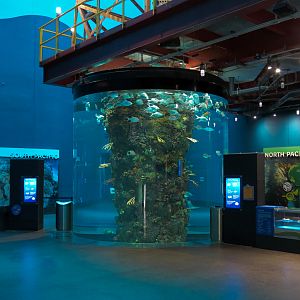 Aquarium - Gulf of Mexico Exhibit - Upper Level