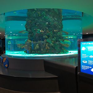 Aquarium - Gulf of Mexico Exhibit - Lower Level