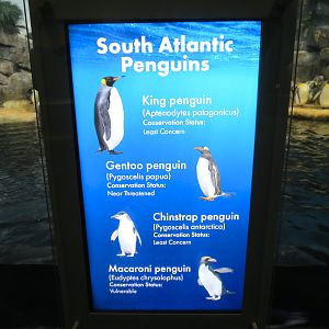 Aquarium - South Atlantic - Penguin Exhibit - Upper Level - Sign