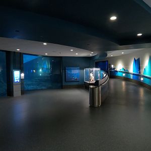 Aquarium - South Atlantic - Lower Level