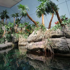 Aquarium - South Pacific - Main Exhibit - Upper Level