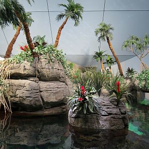 Aquarium - South Pacific - Main Exhibit - Upper Level