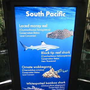 Aquarium - South Pacific - Main Exhibit - Upper Level - Sign