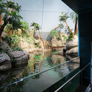 Aquarium - South Pacific - Main Exhibit - Upper Level