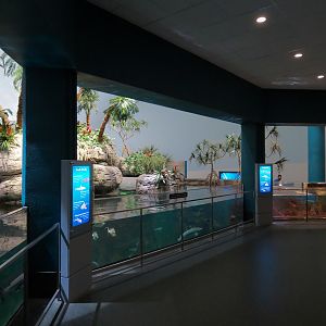 Aquarium - South Pacific - Main Exhibit - Upper Level