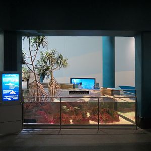Aquarium - South Pacific - Main Exhibit - Upper Level