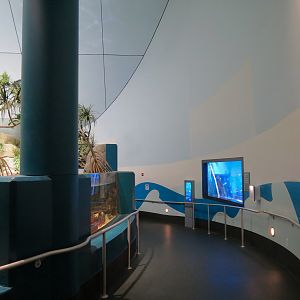 Aquarium - South Pacific - Ramp to Lower Level