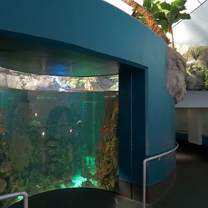 Aquarium - South Pacific - Main Exhibit - Lower Level