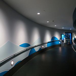 Aquarium - South Pacific - Ramp to Lower Level