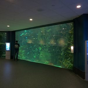 Aquarium - South Pacific - Main Exhibit - Lower Level