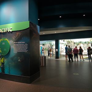 Aquarium - North Pacific - Sign