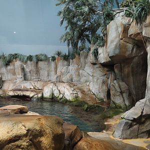 Aquarium - North Pacific - Pinniped Exhibit - Upper Level