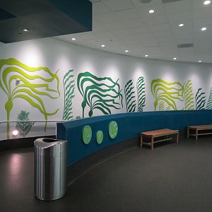Aquarium - North Pacific - Ramp to Lower Level