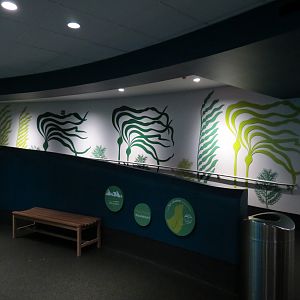 Aquarium - North Pacific - Lower Level