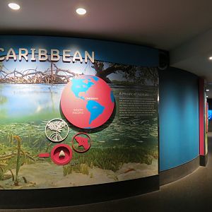 Aquarium - Caribbean - Sign