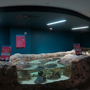 Aquarium - Caribbean - Touchtank