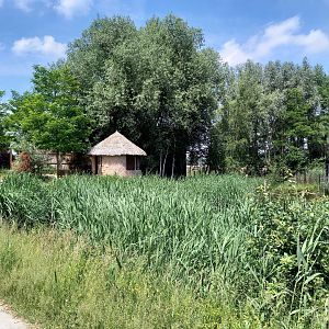 Path-way to the Giraffe-house with on the right side the DeBrazza monkey enclosure