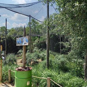 Vulture - Crowned crane -Hamerkop aviary