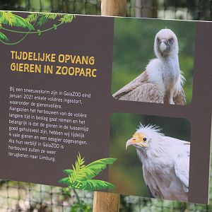 Sign "extra" vultures