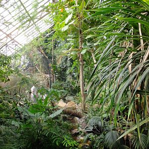 America Tropicana main hall