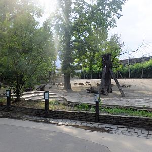 South American enclosure (Lowland tapir, Capybara, Patagonian cavy, Greater rhea)