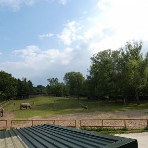 Brow-antlered deer and Greater one-horned rhino enclosure