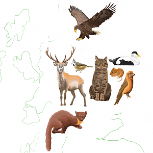Animal Map of GB in progress - Scotland so far