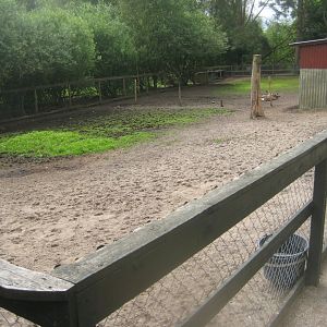 Hobro Minizoo - Donkey/llama exhibit