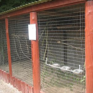Hobro Minizoo - Quaker parrot aviary