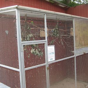 Hobro Minizoo - Lovebird aviary