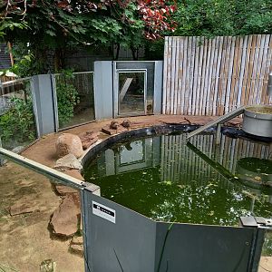Asian small-clawed otter enclosure
