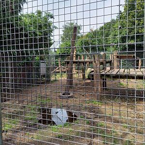 Current American black bear enclosure