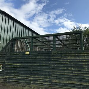 Chimpanzee holding area