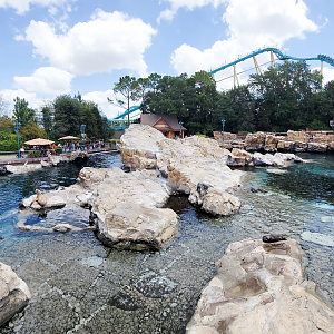 May. 2021 - Pacific Point Preserve (California Sea Lions & Harbor Seals)