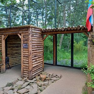 Viewing-place Tiger-enclosure