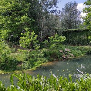 White tiger enclosure