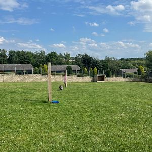 Wallaby Enclosure at Ponderosa Zoo (July 2021)