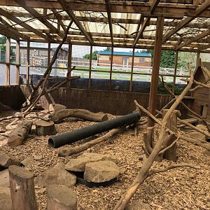 Meerkat Enclosure at Ponderosa Zoo (July 2021)