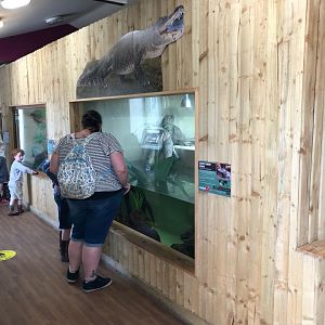 Reptile House Interior at Ponderosa Zoo (July 2021)