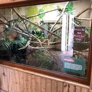 Mangrove Snake Enclosure at Ponderosa Zoo (July 2021)