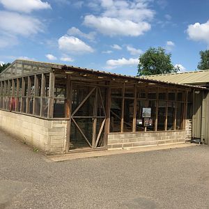 Meerkat Enclosure at Ponderosa Zoo (July 2021)
