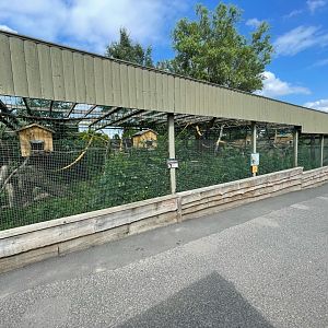 Coati Enclosure at Ponderosa Zoo (July 2021)