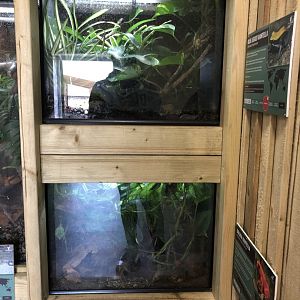 Mantella Vivariums at Ponderosa Zoo (July 2021)