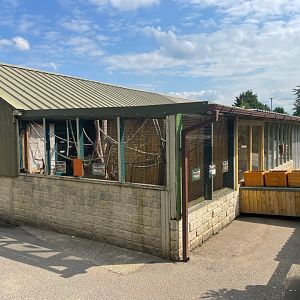 Common Marmoset Enclosure at Ponderosa Zoo (July 2021)