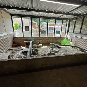 Guinea Pig / Tortoise Enclosures at Ponderosa Zoo (July 2021)