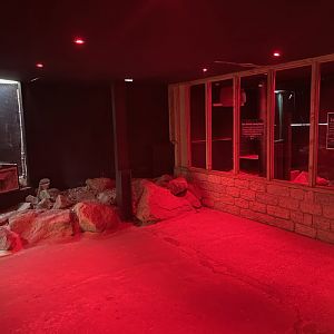 New Nocturnal Room at Ponderosa Zoo (July 2021)