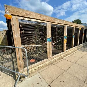 Parrot Aviary at Ponderosa Zoo (July 2021)