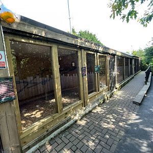 Red-Fronted Brown Lemur Enclosure at Ponderosa Zoo (July 2021)