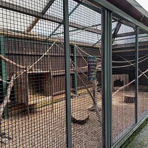 Red-Fronted Brown Lemur Enclosure at Ponderosa Zoo (July 2021)